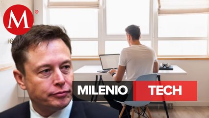 Elon Musk veta el Home Office de Tesla | Milenio