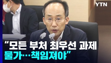 "모든 부처 최우선 과제 물가...규제 풀기는 부총리 팀장 특별팀" / YTN