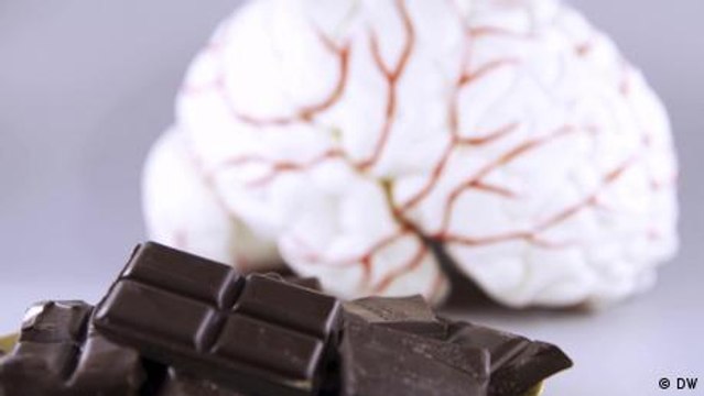 Bocados de salud - Alimento para el cerebro