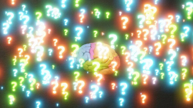 ¿Cómo funciona nuestro cerebro?