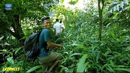 Nekat Turun Dari Air Terjun tanpa Pengaman