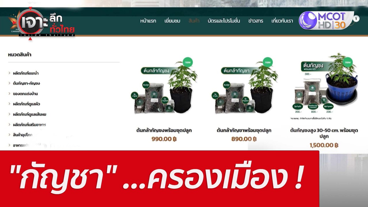 "กัญชา" ...ครองเมือง ! : เจาะลึกทั่วไทย (9 มิ.ย...