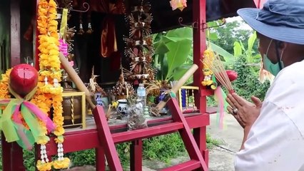 อ่างทอง ชาวบ้านแก้บนพ่อศรสุริยวงศ์ด้วยกัญชาหลังรัฐบาลปลดล็อค