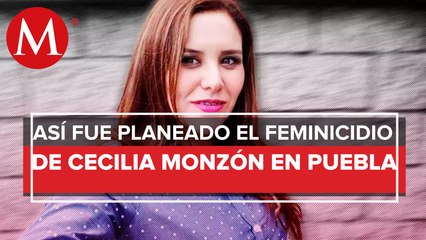 CNDH reconoce investigaciones de la Fiscalía en feminicidio de la activista Cecilia Monzón