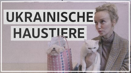 Ukrainerin: "Die Liebe zu Haustieren in unserem Land ist fast schon verrückt"