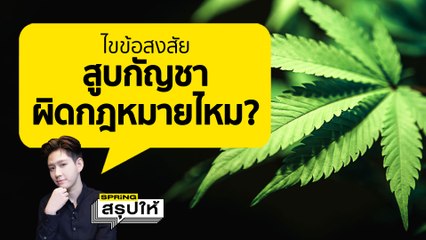 ดีเดย์ปลดล็อกกัญชา 9 มิ.ย. สูบกัญชา ผิดกฏหมายไหม? l SPRiNGสรุปให้