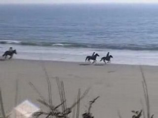 Ballade à la plage de tahiti
