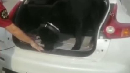 Bir aracın LPG tankından 5 kilogram sentetik uyuşturucu çıktı