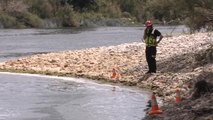 Localizan el cadáver del niño desaparecido cuando se bañaba en el Ebro