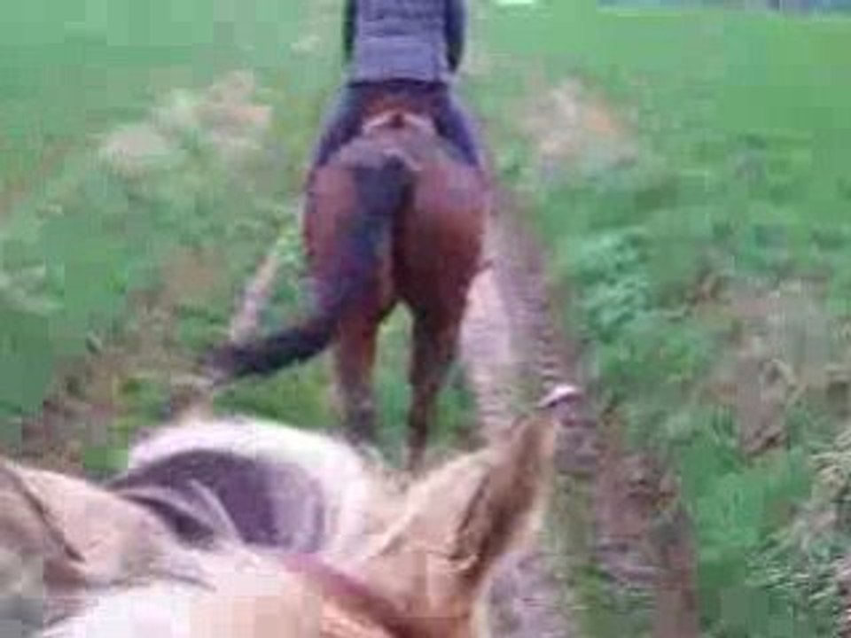 Pilou trotting narcos