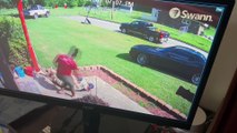 Dad Tackles American Bulldog That Runs Through Door to Protect Front Yard