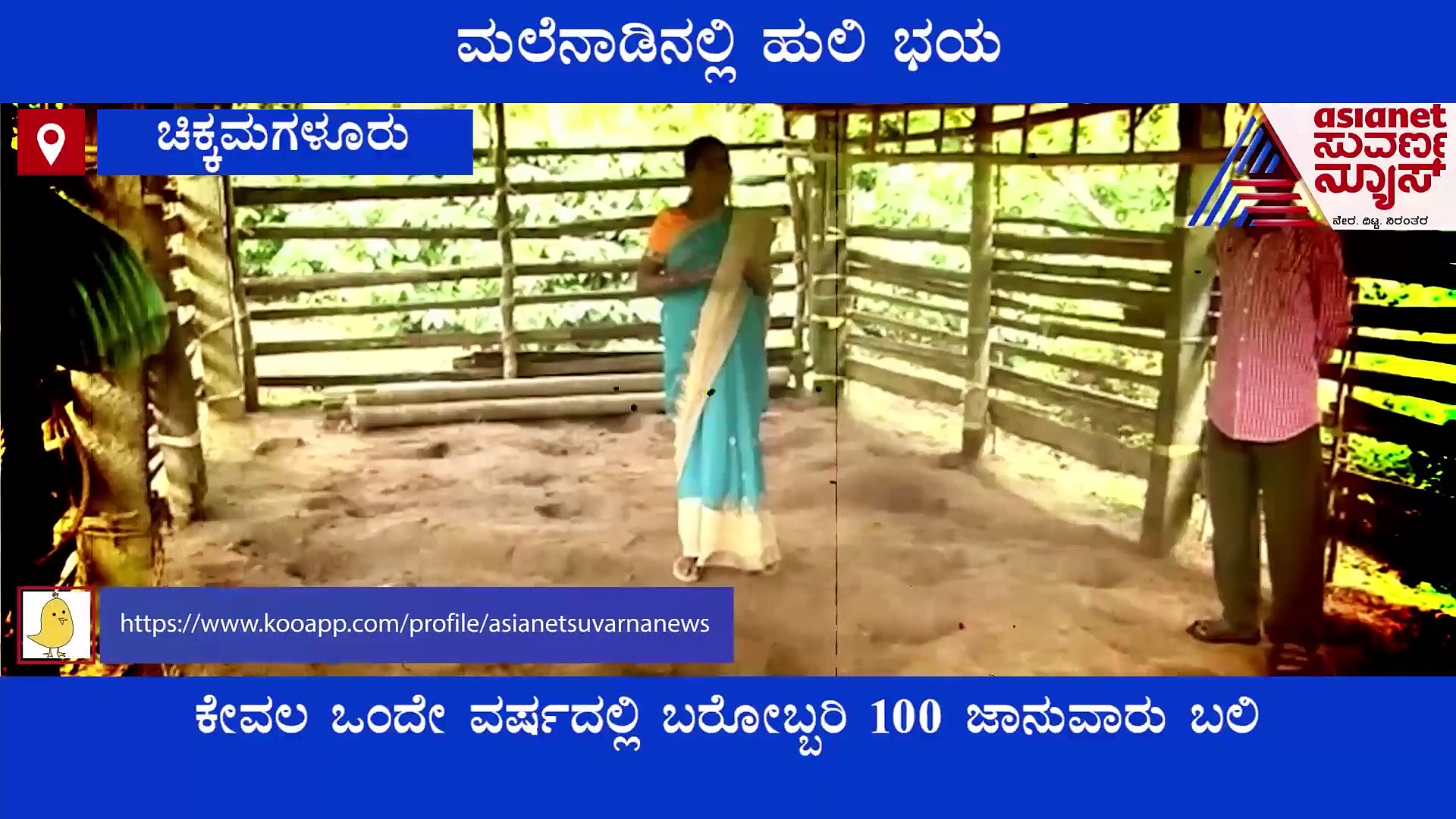 Chikkamagaluru: ಹುಲಿ ಬಾಯಿಗೆ ನೂರಾರು ಜಾನುವಾರುಗಳು ಬಲಿ, ಗ್ರಾಮಸ್ಥರು ಕಂಗಾಲು