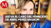 Héctor Pérez Rivera, Abogado. A tres años del feminicidio de Abril Pérez Sagaón.