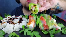 ASMR EATING SPRING ROLLS   RICE   TERIYAKI SAUCE (EATING SOUNDS) NO TALKING