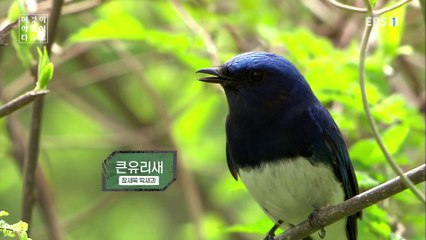 이것이 야생이다 3 - 프롤로그- 절벽 끝 야생_#001