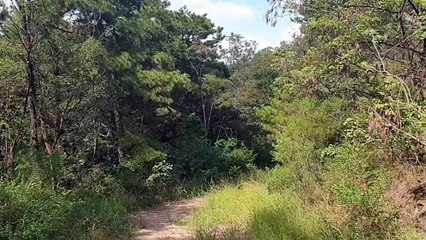 Vue depuis le sommet du campus Keimyung