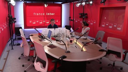 Les méduses violettes menacent-elles vraiment l'été grec ?