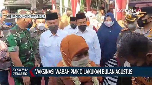 Gubernur Menjamin Hewan Kurban di Jawa Timur Bebas Penyakit Mulut dan Kuku