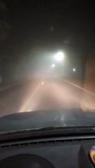 Neblina sobre Ruta Nacional n° 64, en Los Altos