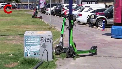 Martıyı alkollü kullanan yurttaş ehliyetinden oldu