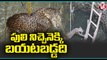 Leopard Rescued From Well By Fire Department _ Odisha _ V6 News