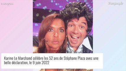 Karine Le Marchand guérie d'un chagrin d'amour grâce à Stéphane Plaza : comment il l'a aidée