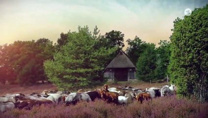 Rote Rosen 3577 folge