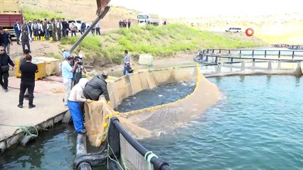 Denizi olmayan Kayseri'de 10 milyon dolarlık balık ihracatı