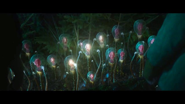 Vesper Chronicles Bande-annonce VO