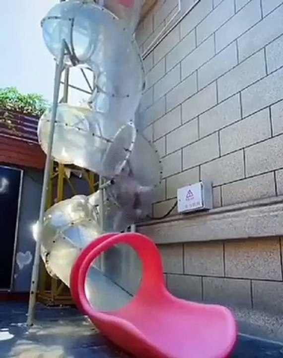 Un rollercoaster pour chiens