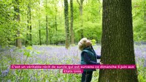 À 3 ans, un petit garçon survit pendant 2 jours seul dans la forêt