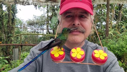 Ecuador 2022 Hummingbird Hat Feeder