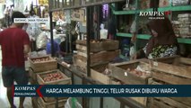 Harga Melambung Tinggi, Telur Rusak Diburu Warga