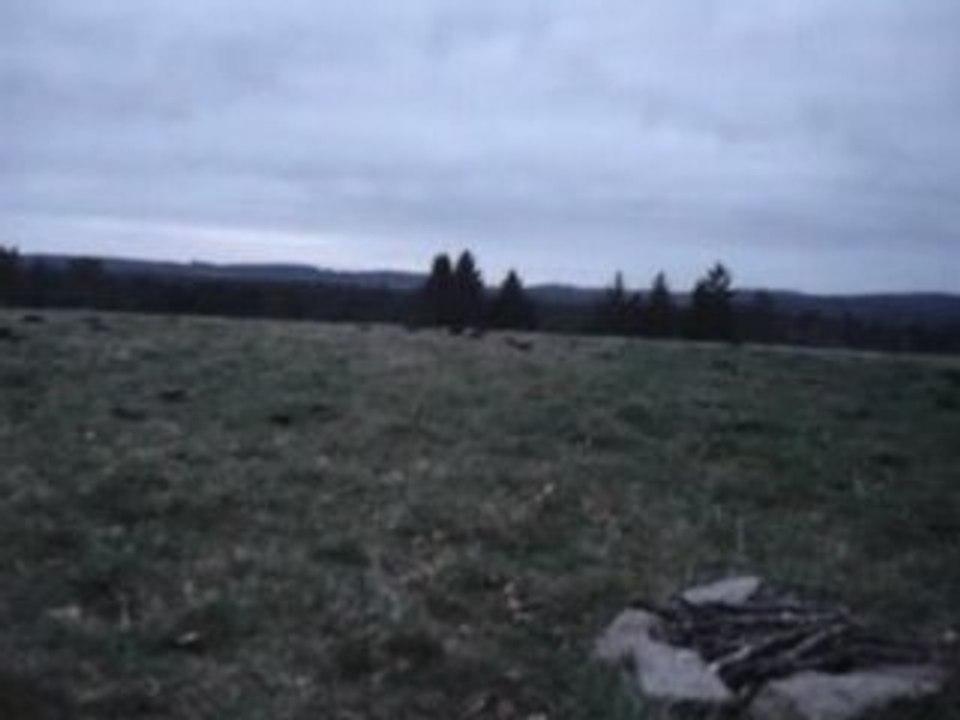MOV00069