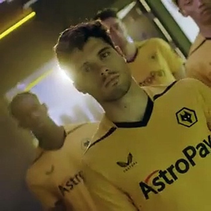 Camisola Wolves