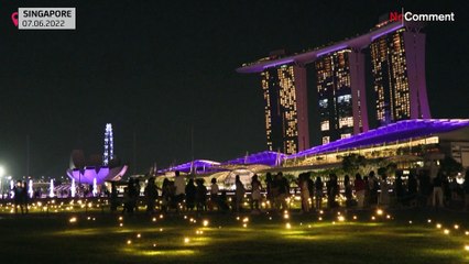 بدون تعليق: يراعات وكائنات بحرية "راقصة" بمهرجان الأضواء في سنغافورة