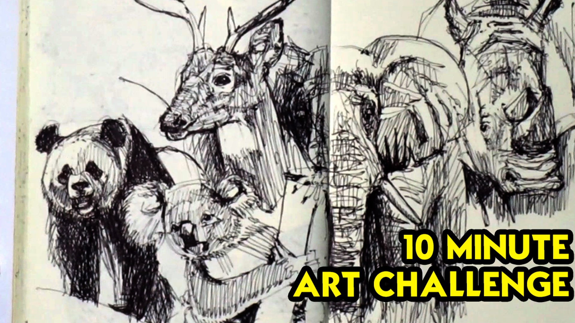 ⁣10 Minute Art Challenge  Day 4  Endangered Animals Sketch