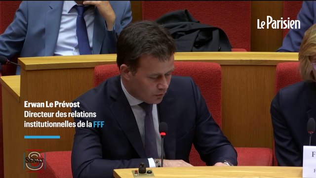 Chaos au Stade de France : les images de vidéosurveillance ont été «automatiquement détruites»