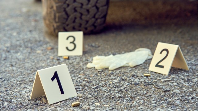 Delphine Jubillar : l’ultime photo d’elle vivante divulguée, quelques heures avant sa disparition