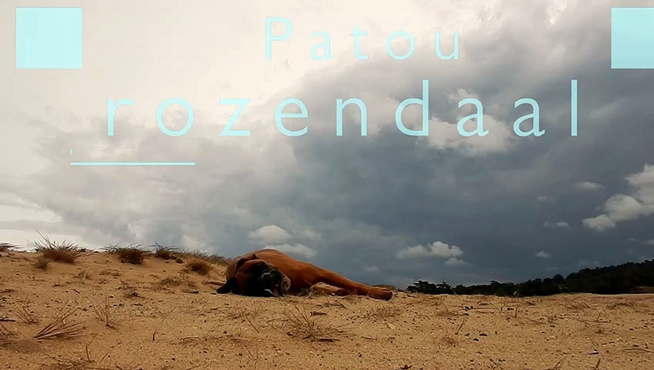 2022-06-08 Patou heureuse