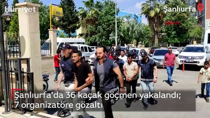 Şanlıurfa'da 36 kaçak göçmen yakalandı; 7 organizatöre gözaltı