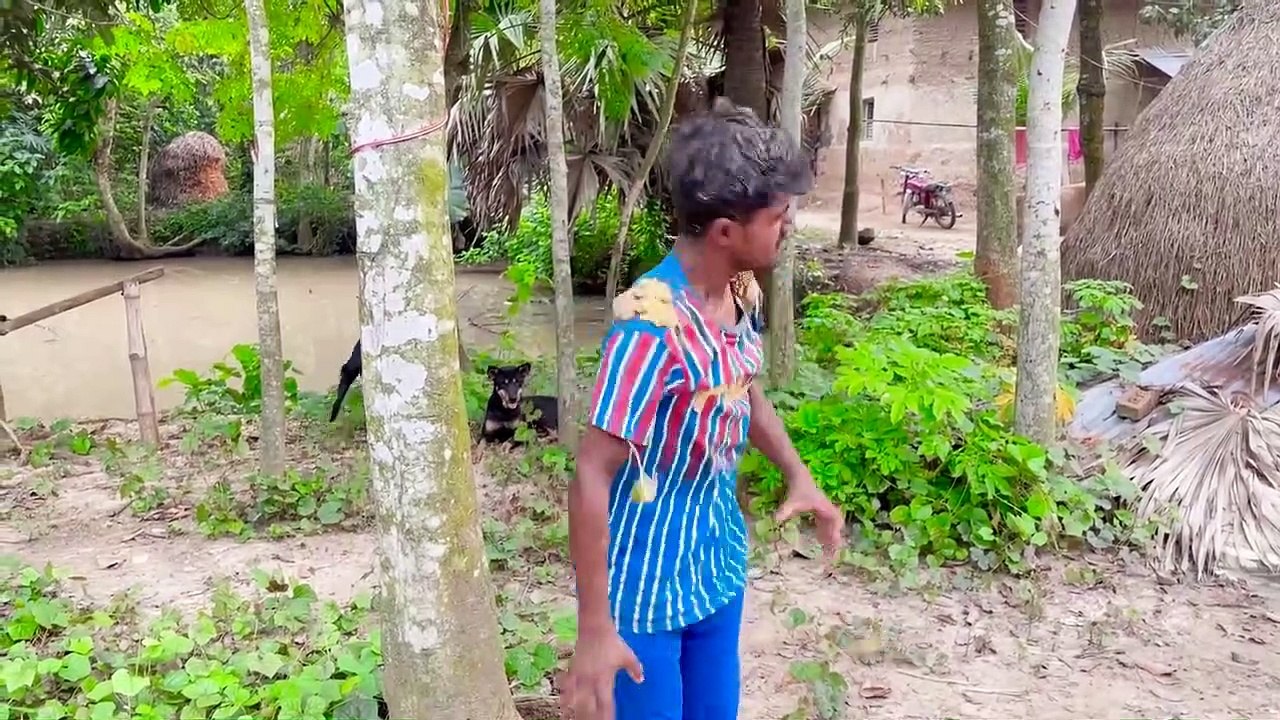 Must Watch New Funny Video 2022 Top New Comedy Video 2022 Try To Not Laugh Episode 08 By Fun Tv 420