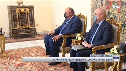 Video herunterladen: الرئيس السيسي يستقبل وزيرة خارجية جمهورية تنزانيا