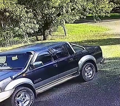 Un australien se fait attaquer par un kangourou et doit se battre avec lui