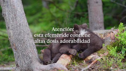 Efeméride: 100 años de Ositos de Haribo | EL PAÍS