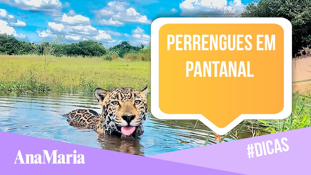 PERRENGUES QUE O ELENCO DE PANTANAL PASSOU NOS BASTIDORES DA NOVELA