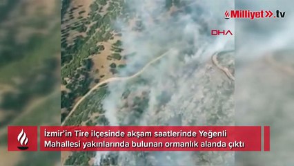 Tire’deki orman yangınına havadan ve karadan müdahale