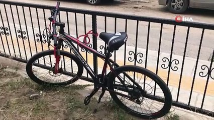 Başıboş köpekler, üniversiteli genci hastanelik etti!