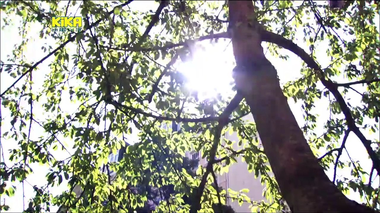 Die Pfefferkörner Staffel 9 Folge 9