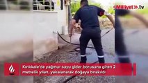 Kırıkkale'de 2 metrelik yılan paniği